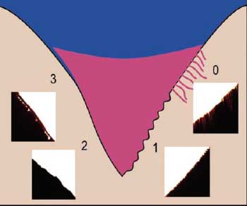 Figura 3. Representación esquemática de la formación de tags. Celiberti-Lussi (2007)13
